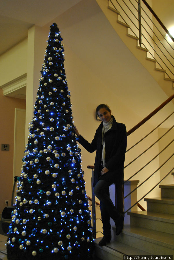 25 ноябре в холле уже появилась елка Марианске-Лазне, Чехия