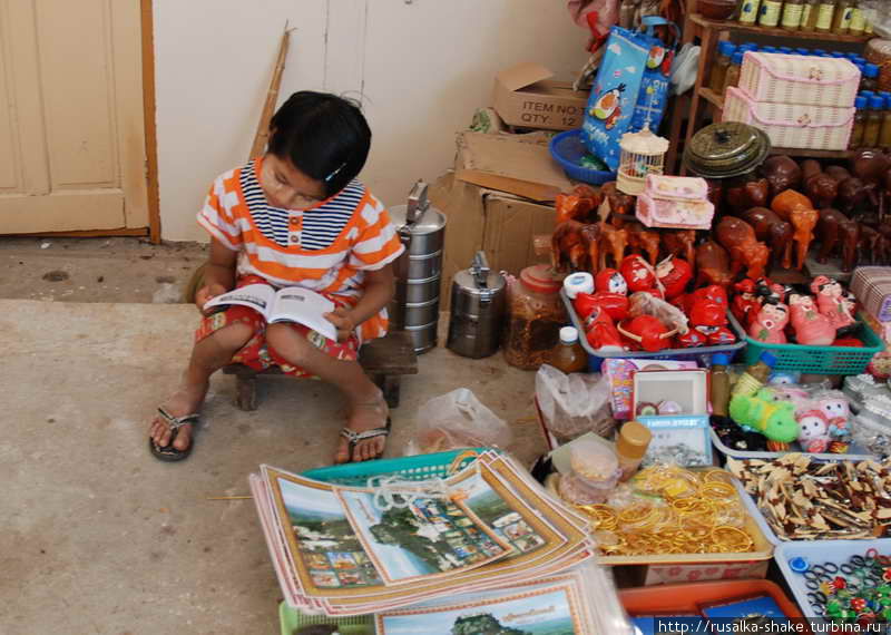 Читающая Бирма Таунджи, Мьянма