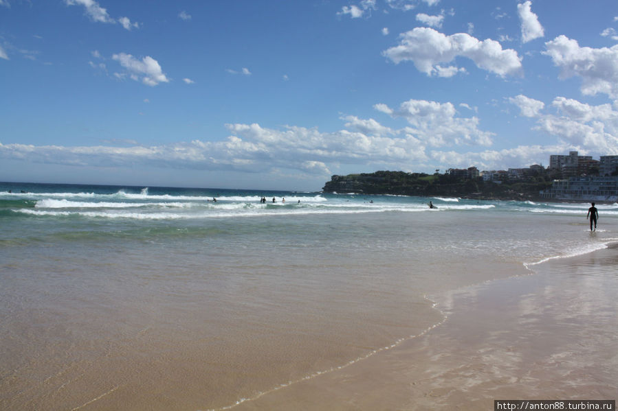 Пляж Бонди Бонди-Бич, Австралия