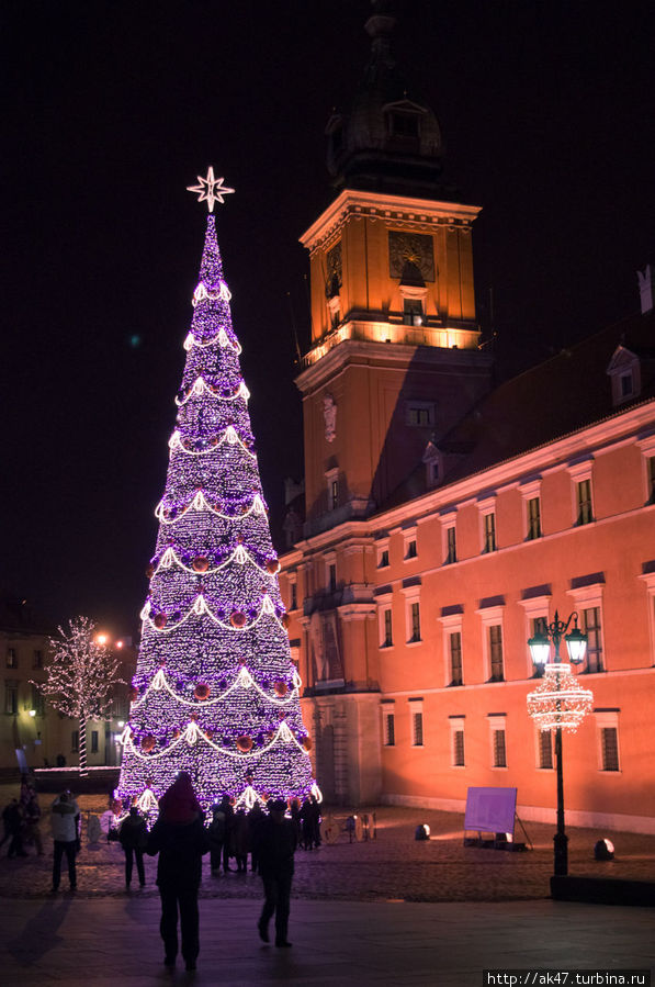 Фиолетовая елка Варшава, Польша