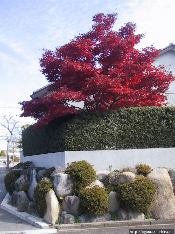 Цвета осени в центральной части острова Хонсю Япония