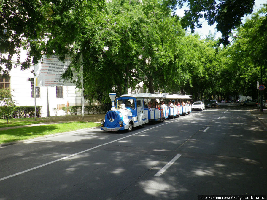 Городской паровозик — лучшее транспортное средство для путешествия по городу, если устанешь ходить пешком Эгер, Венгрия
