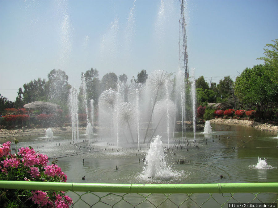 Музыкальный фонтан. Центральный округ, Израиль