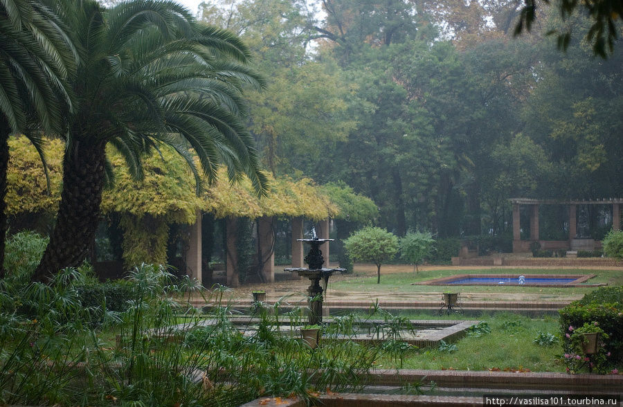 Дождь в парке Марии-Луизы, Севилья Севилья, Испания