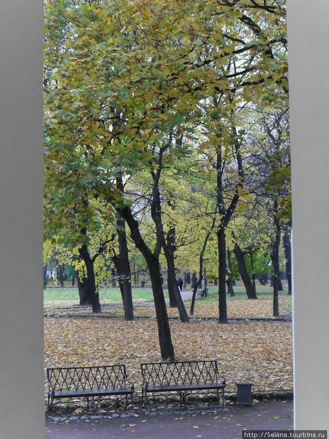 Золотой наряд Михайловского  сада Санкт-Петербург, Россия