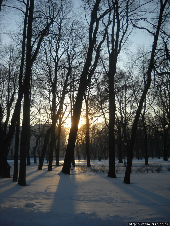Мороз и солнце — день чудесный... Санкт-Петербург, Россия