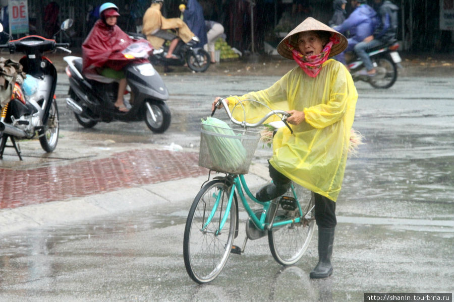 Прогулка под дождем Винь, Вьетнам