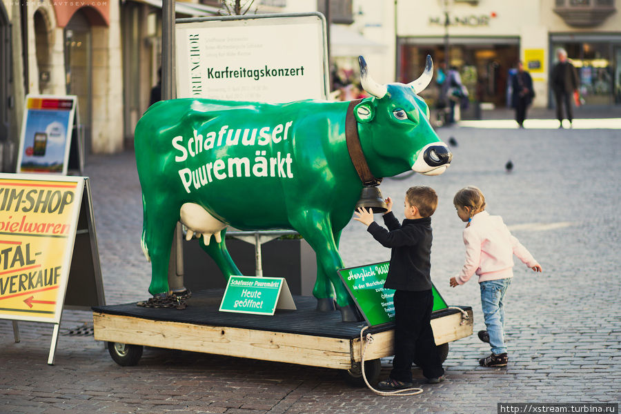 Коровка с колокольчиком — хорошее развлечение для детей — сначала позвонили, потом пошли доить:) Шаффхаузен, Швейцария