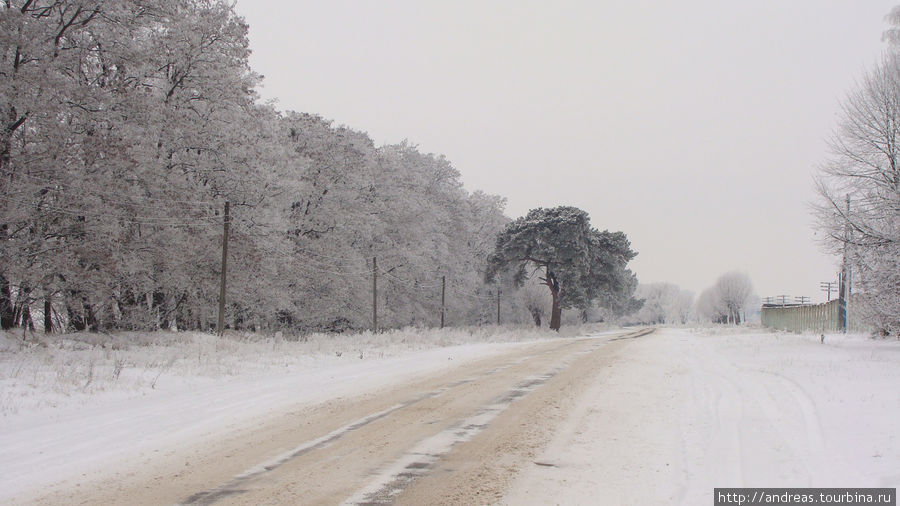 Зимняя дорога на Берестечко Берестечко, Украина