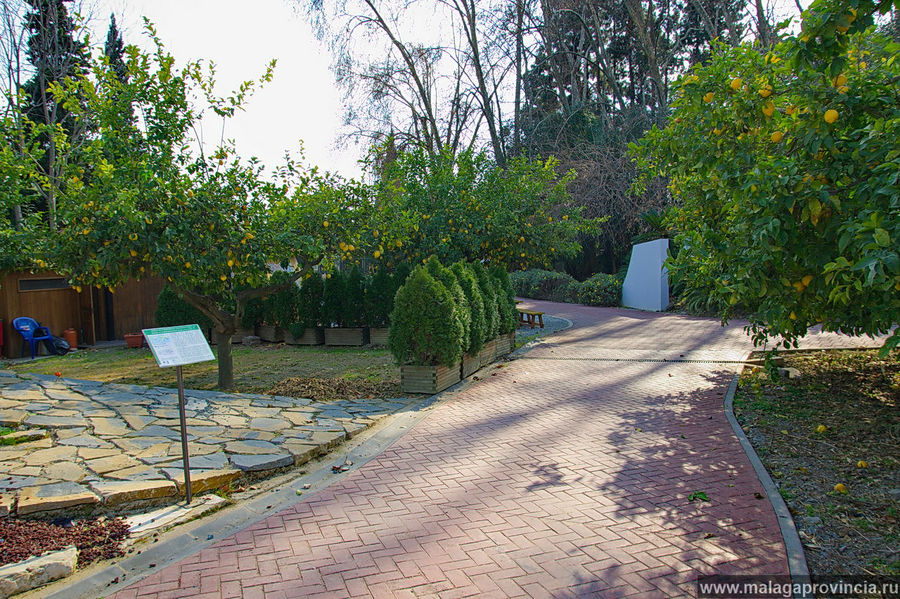 Ботанический сад La Concepción 