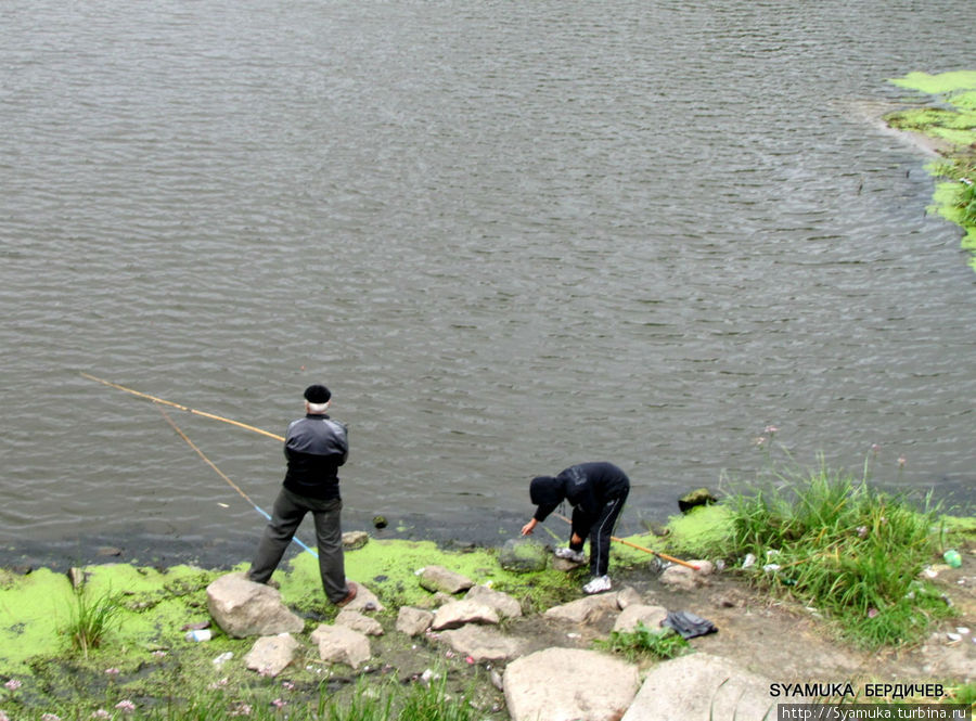 В разговоре с рыбаками выяснилось, что недавно запустили в Гнилопять около 700 килограммов рыбешек — на берег приехала цистерна из рыбного хозяйства с живыми маленькими карпиками, белыми амурчиками и толстолобиками. Бердичев, Украина
