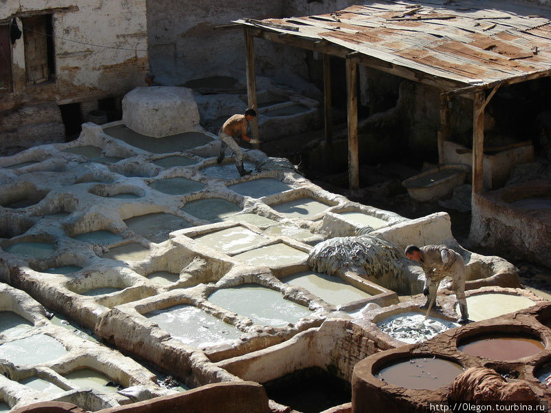 Первоначальные ванны с извёсткой предназначены для дубения кожи Фес, Марокко