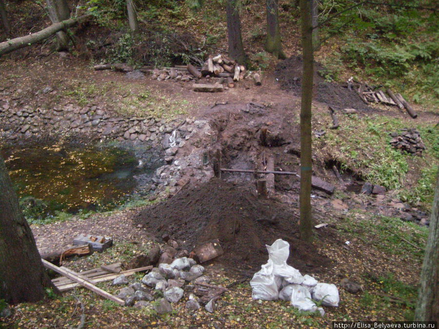 реставрация прудов на Вилле Рено Комарово, Россия