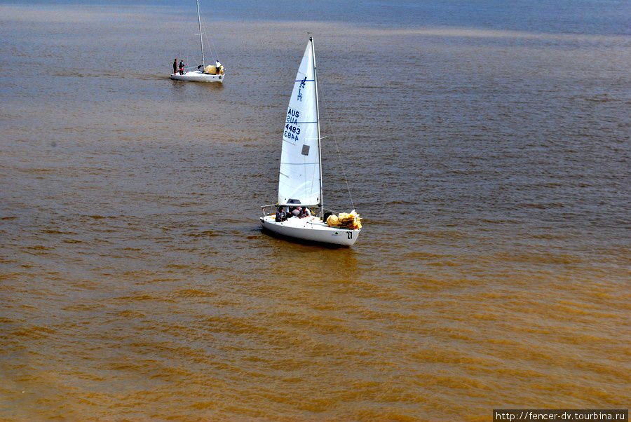 Вода в заливе мутно-желтого цвета, на фоне которой яхтенная регата выглядит не так элегантно, как могла бы, будь вода синей. Буэнос-Айрес, Аргентина