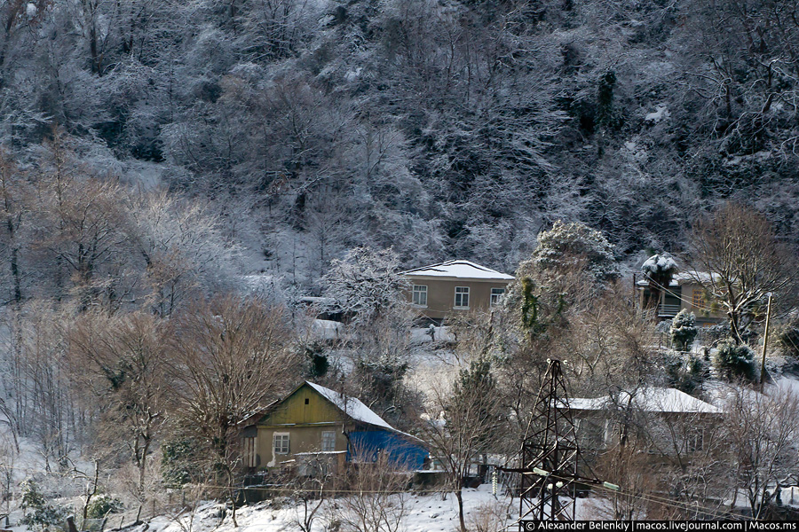 Зимний весенний день в Сухуме Сухум, Абхазия