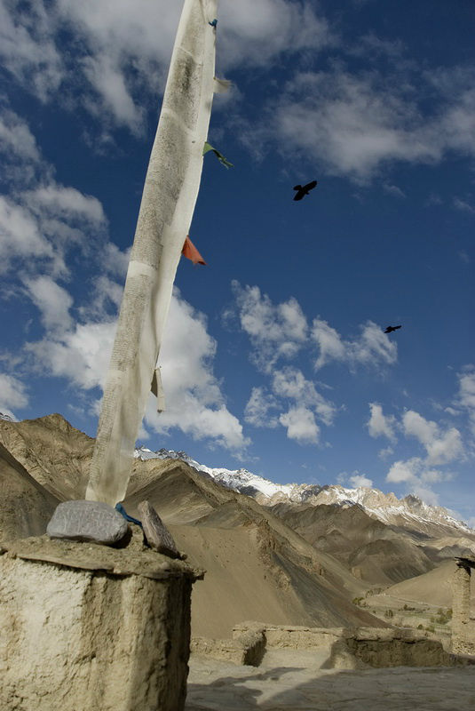 Только ветер полощет молитвы на стягах, да чёрные птицы что-то пишут чёрным по синему. Штат Джамму-и-Кашмир, Индия