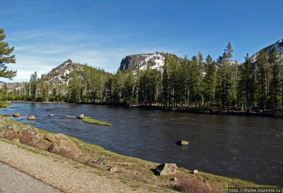 Река Мэдисон (Madison River) - 23 километра пути Йеллоустоун Национальный Парк, CША