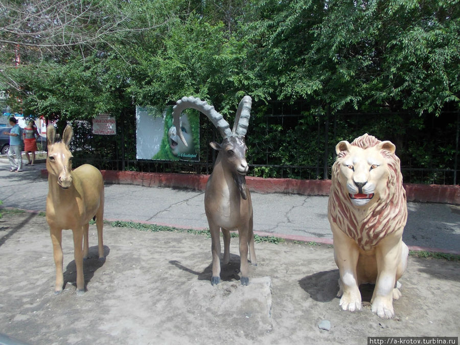 и тут памятники зверям Семей, Казахстан