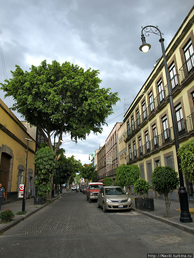 Даже на небольших улицах части можно встретить деревья Мехико, Мексика