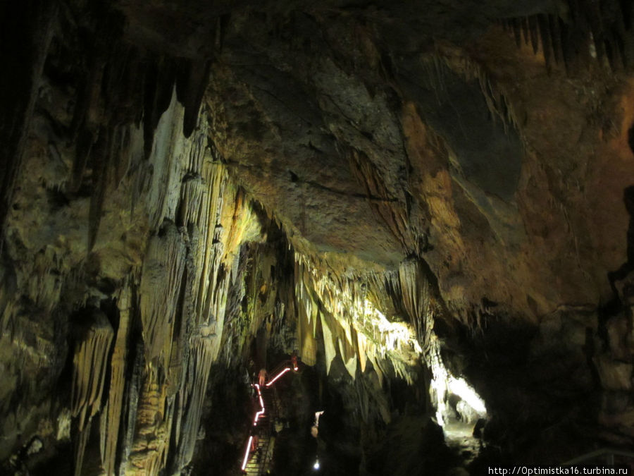 Пещера Дим Магарасы Алания, Турция