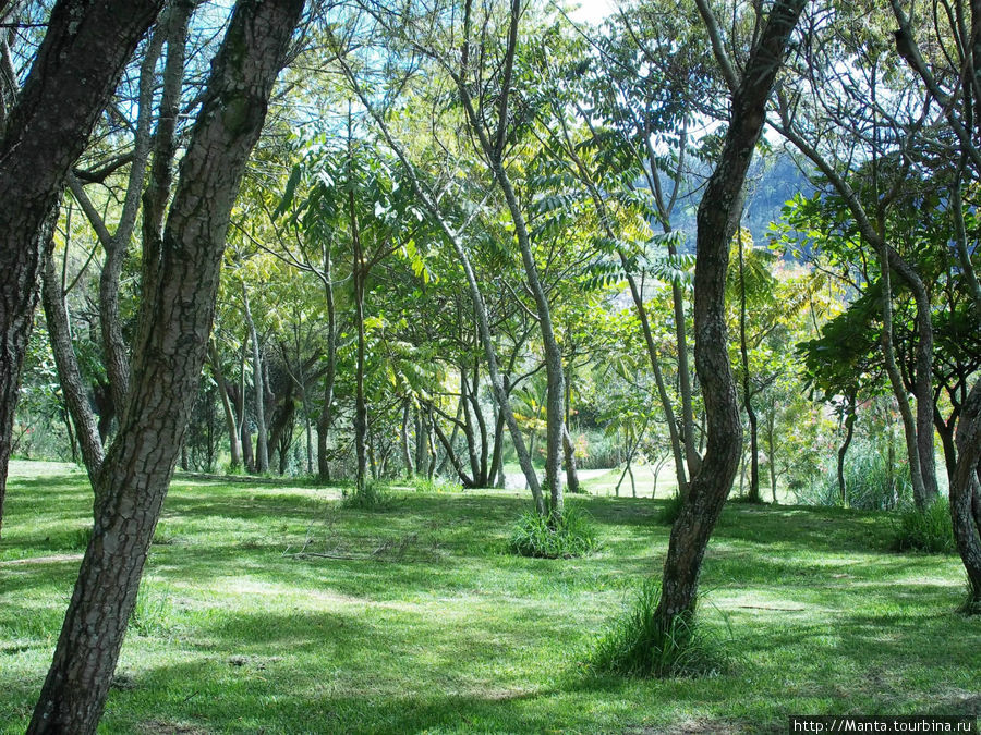 Парк Итчимбия Кито, Эквадор