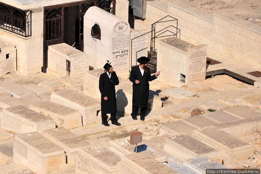 Говорят, на этом кладбище покоится сын Давида Авессалом и  ветхозаветные пророки. Иерусалим, Израиль
