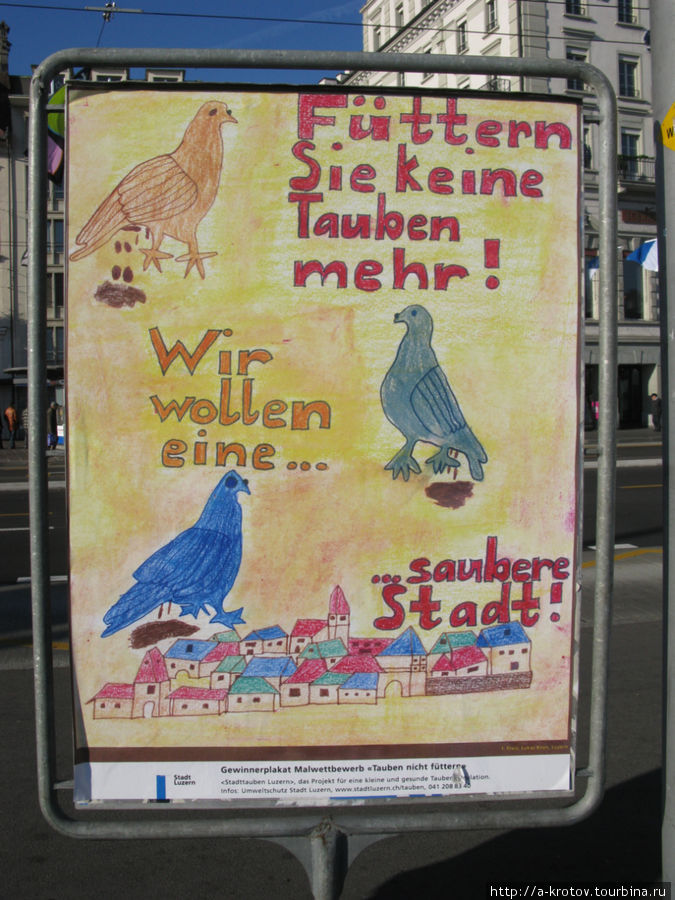 не кормите голубей! Они какают! (городские плакаты) Люцерн, Швейцария