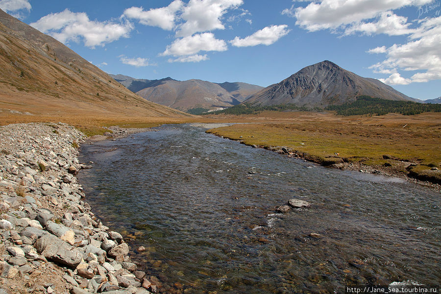 Снова река Тара. Водичка бодрящая, ледяная. Республика Алтай, Россия