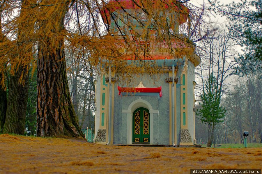Фотожизнь в дождливом Царском селе Пушкин, Россия