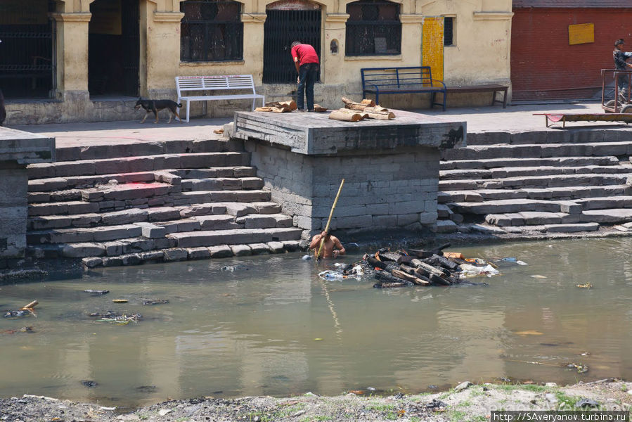 Подиумы для кремации на реке Багамати Катманду, Непал