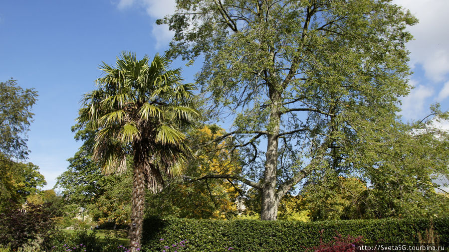 Осень в Ботаническом саду в Шеффилде. Сентябрь 2011г. Шеффилд, Великобритания