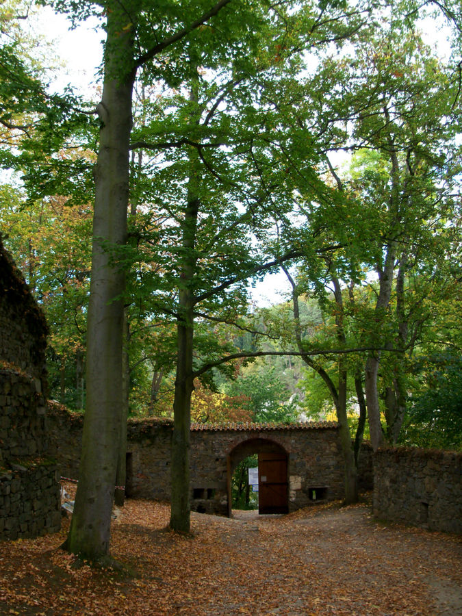 Замок Zvikov Южночешский край, Чехия