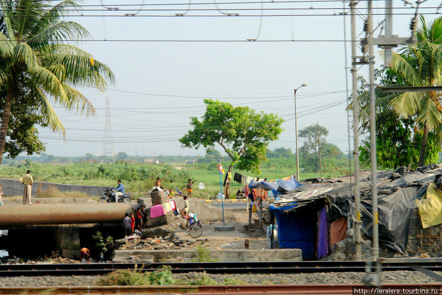 От Мулунда до Колабы ехать 40 минут на поезде. Единственный шанс избежать пробок. Поезд мчит мимо трущоб. Мумбаи, Индия