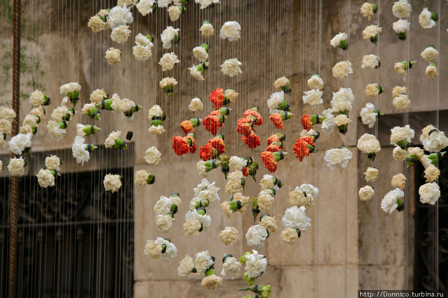 Fiesta de los flores. Жирона — третья неделя мая Жирона, Испания