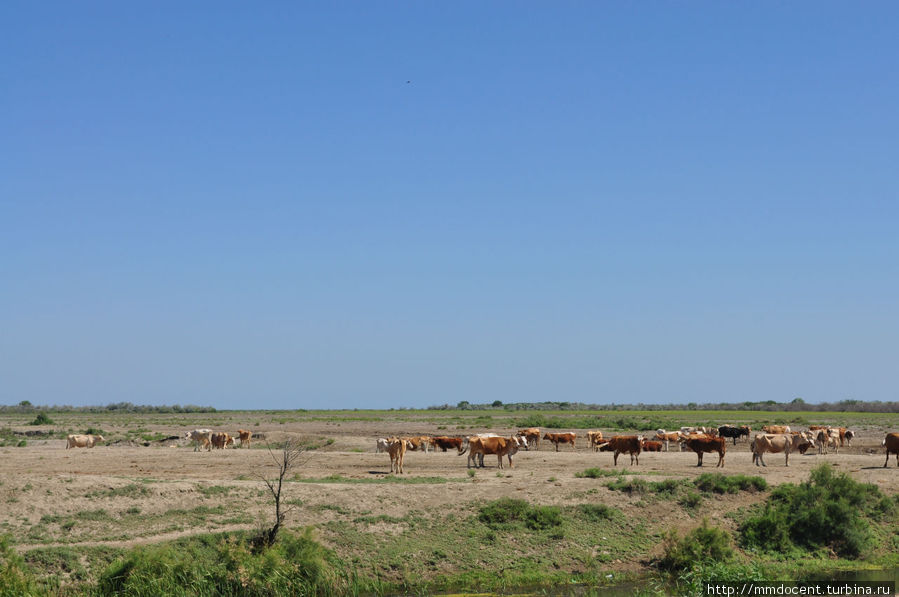 Самая низкая точка России Дагестан, Россия