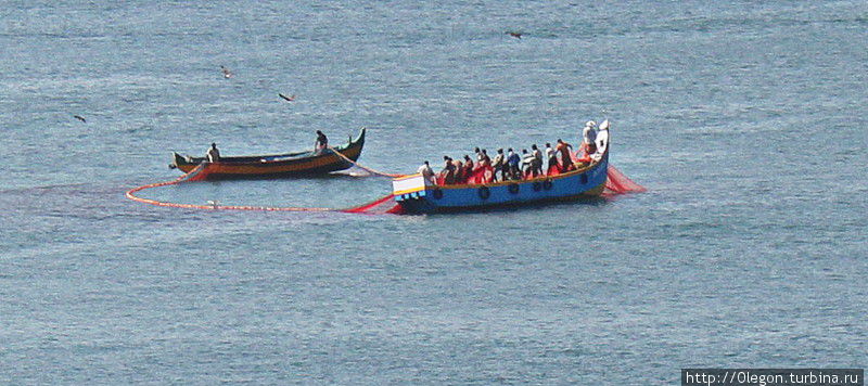 Рыбаки в море вытаскивают сети Варкала, Индия
