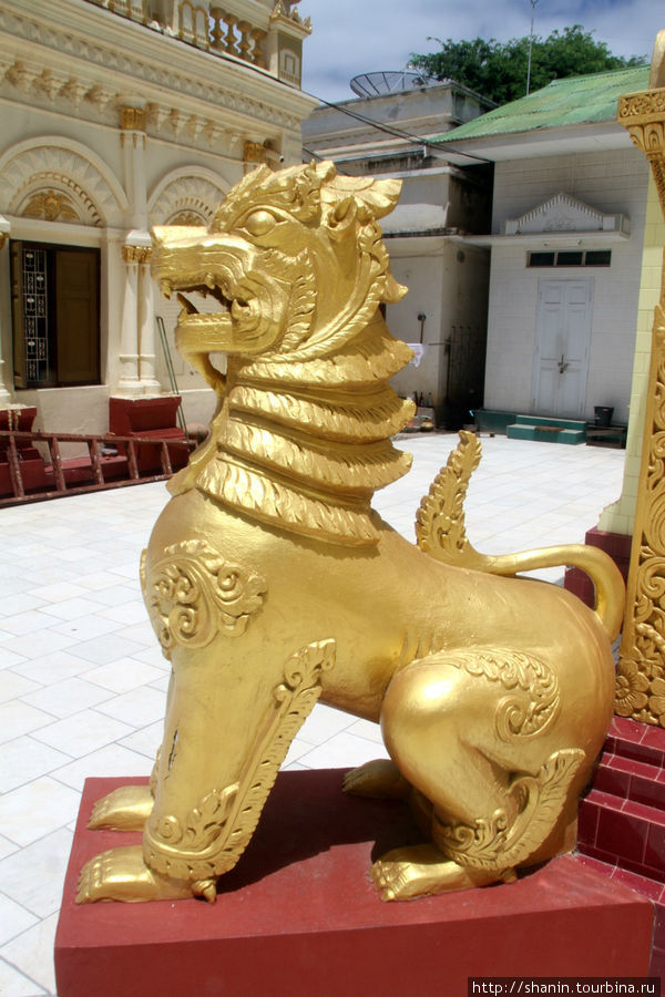 Золотой лев. Пагода Шве Сиен Кхон в Мониве Монива, Мьянма
