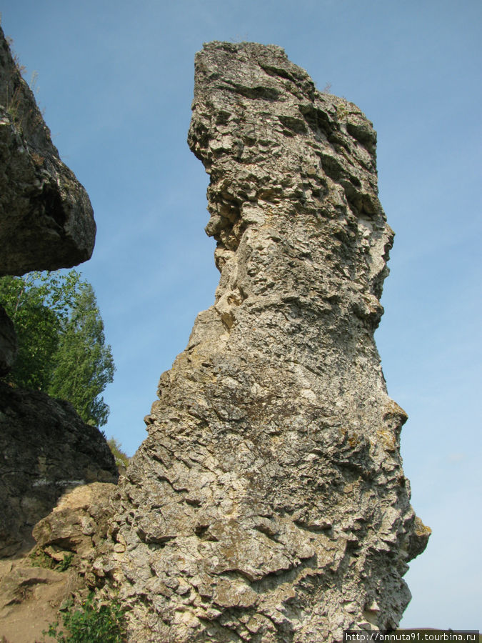 Скала Часовой Советск, Россия