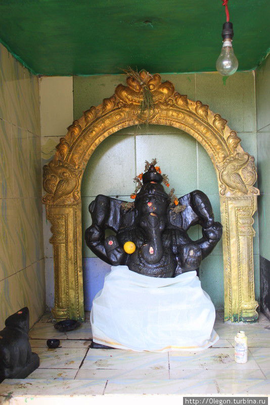 Чайные боги Муннара Муннар, Индия
