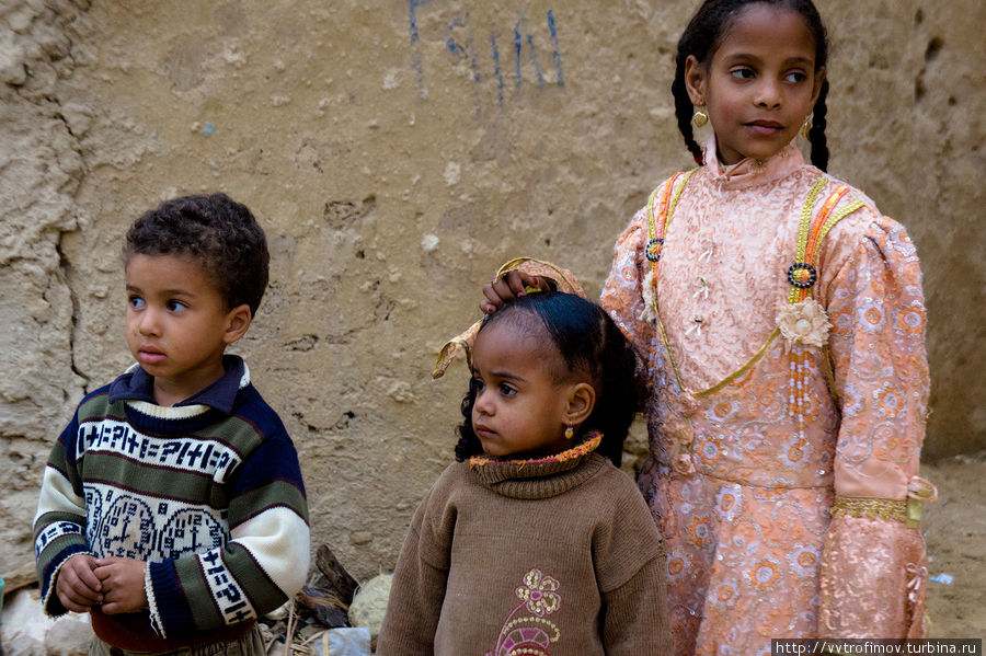 Дети Сивы Оазис Сива, Египет