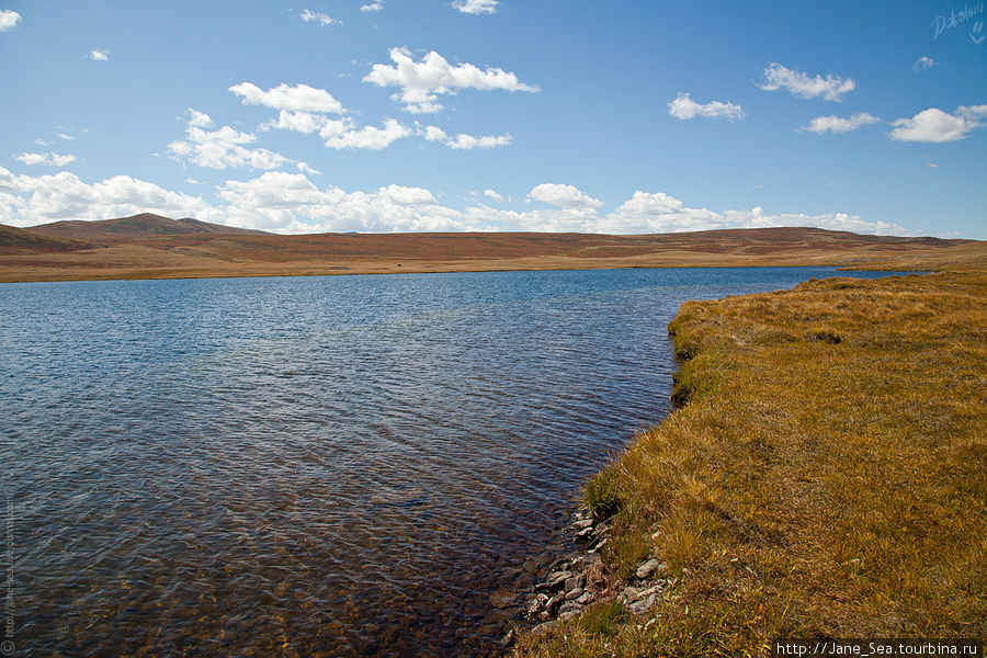 Снова Тархатинское озеро. Здесь нещадно дует ветер, термометр показывает +26, а открытые части тела замерзают, как при 0. Республика Алтай, Россия