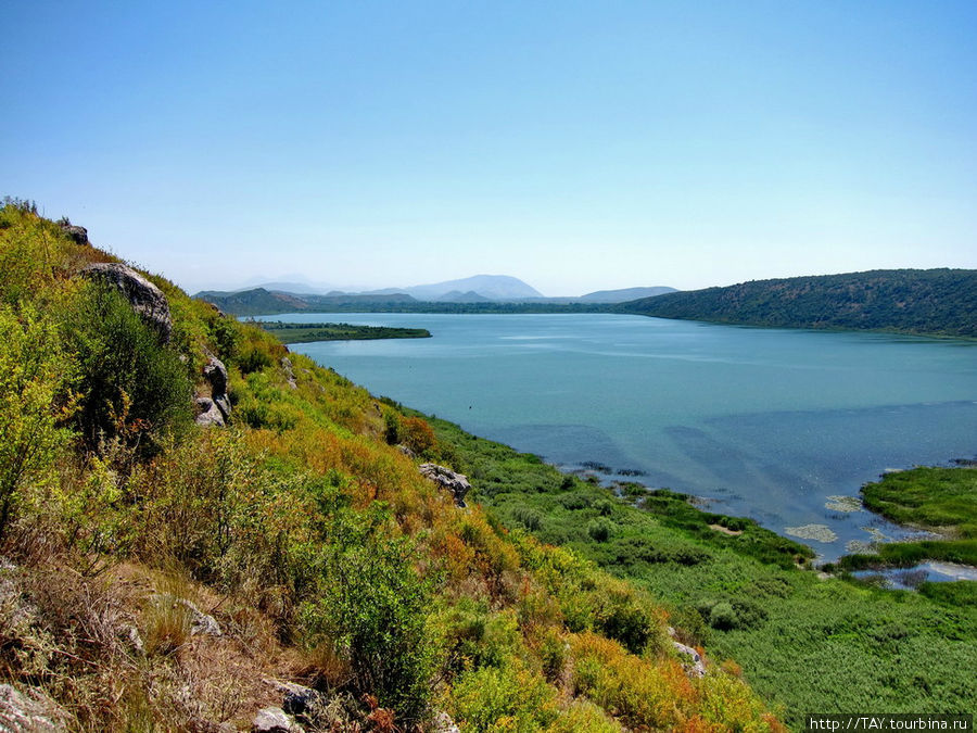 Шацкое озеро Озеро Саско, Черногория
