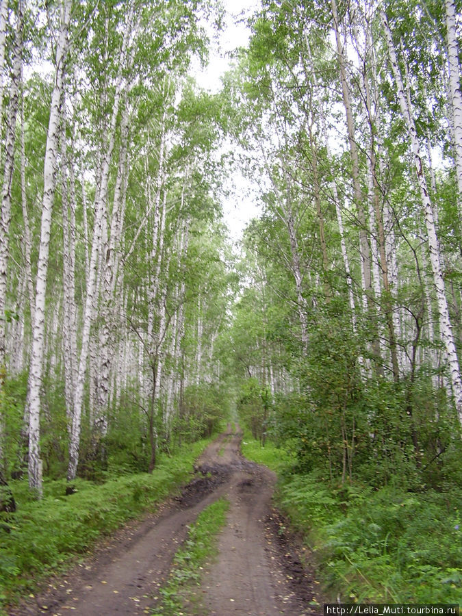 Непряхино Челябинск, Россия