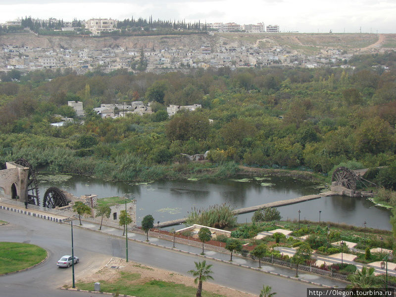 Вид сверху на город Хама, куда ни глянь везде нории Хама, Сирия
