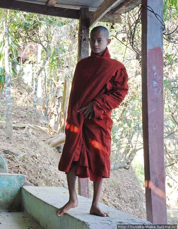 Послушники и монахи Мьянма