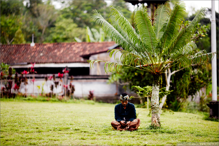 Их нравы Бали, Индонезия