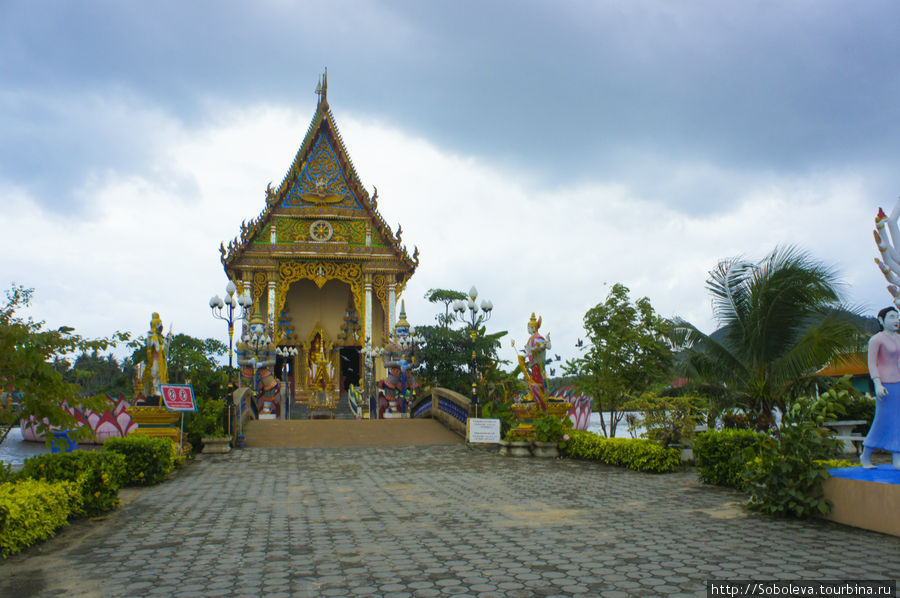 Тайланд. остров Koh samui Остров Самуи, Таиланд