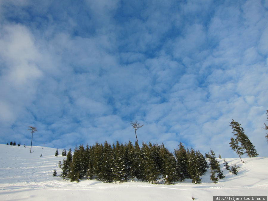 Горнолыжная Австрия и какие бывают лыжи Цель-ам-Зее, Австрия