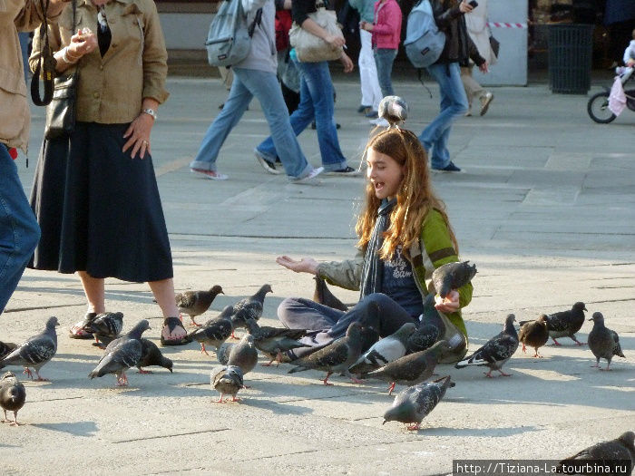 Медитация птичья на площади Венеция, Италия