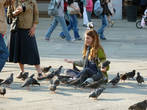 Медитация птичья на площади